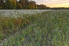 20150615_51 55_1
